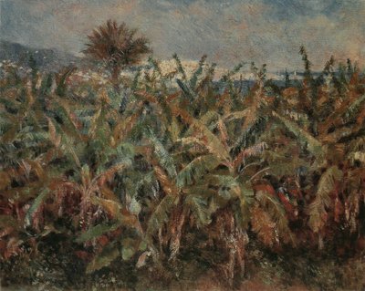 Banana Field by Pierre Auguste Renoir